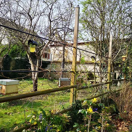 Le Cloky Bed & Breakfast Thomery