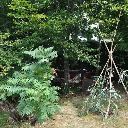 Le Cloky Bed & Breakfast