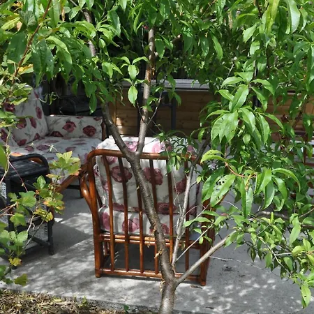 Bed & Breakfast Le Cloky Thomery